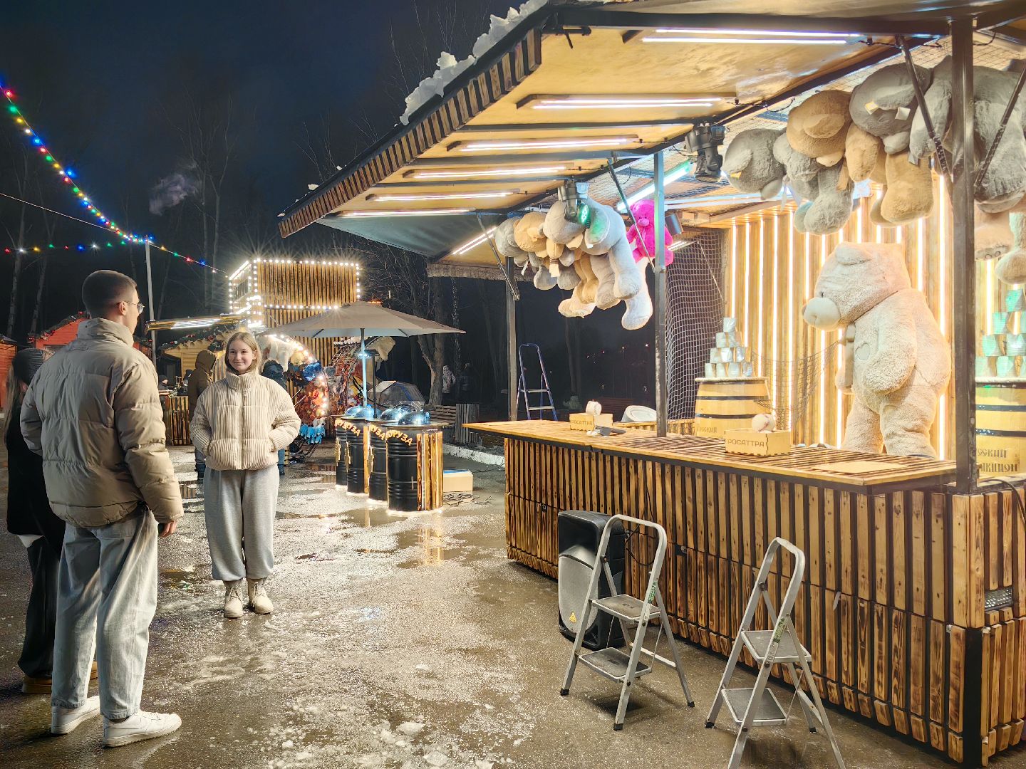 парк, новогодняя елка, гирлянды, дед мороз и снегурочка, вертикалки,