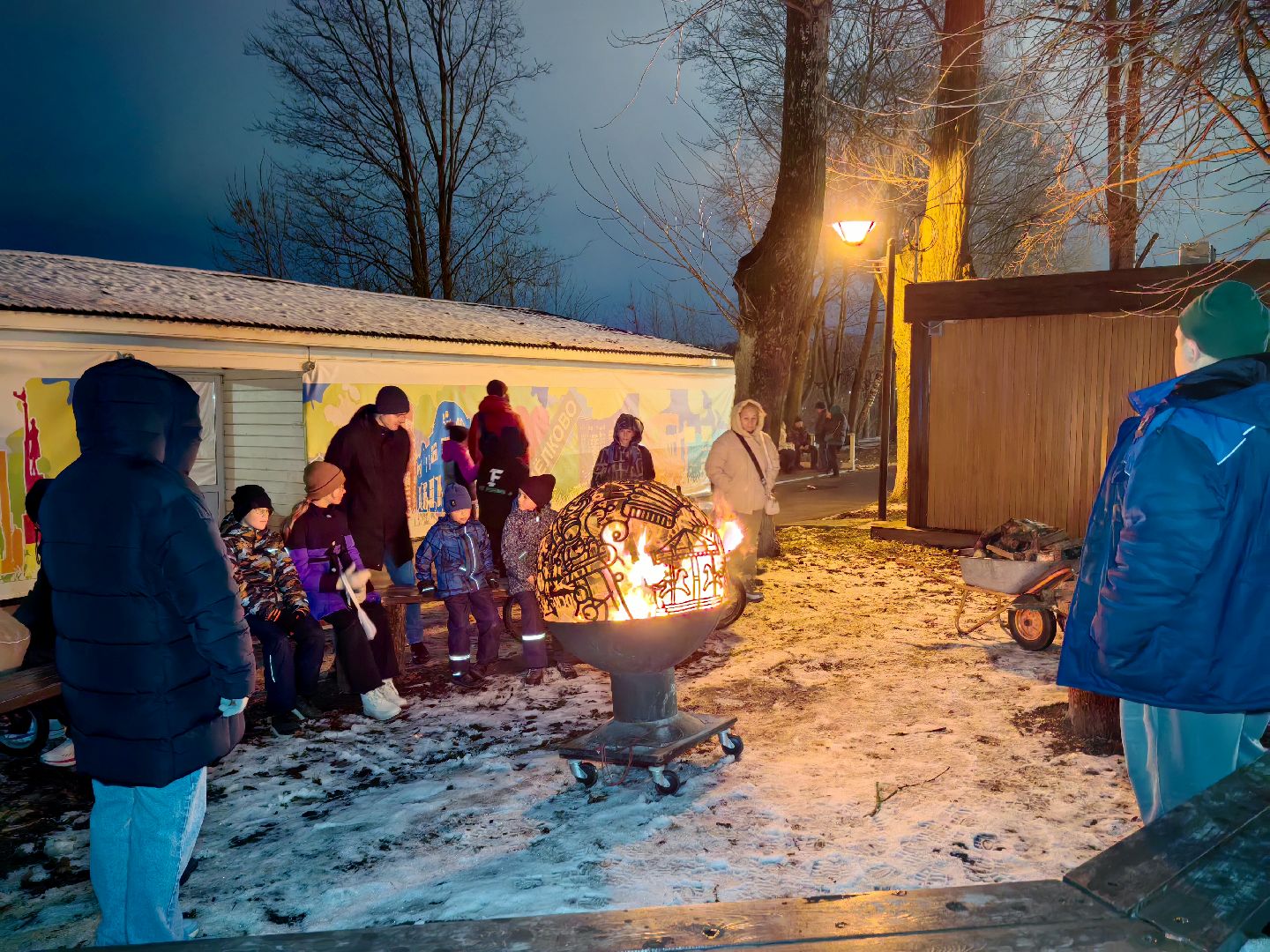 парк, новогодняя елка, гирлянды, дед мороз и снегурочка, вертикалки,