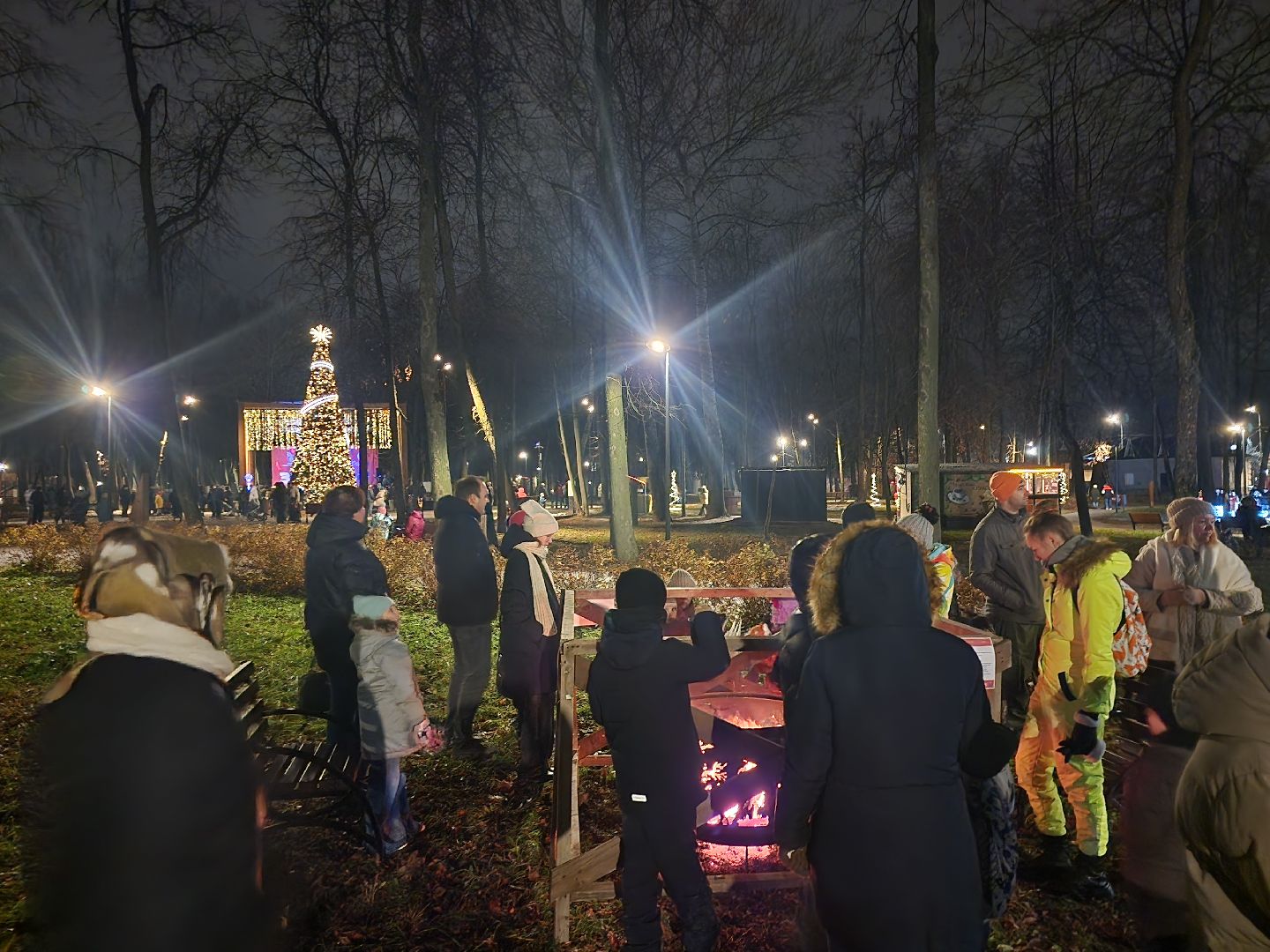 серпухов, подмосковье, теплый очаг, парки подмосковья, парк имени олега степанова, зима в подмосковье, вертикалки,