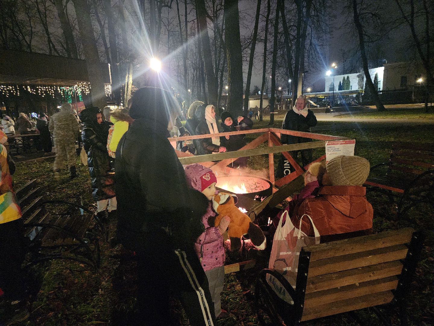 серпухов, подмосковье, теплый очаг, парки подмосковья, парк имени олега степанова, зима в подмосковье, вертикалки,