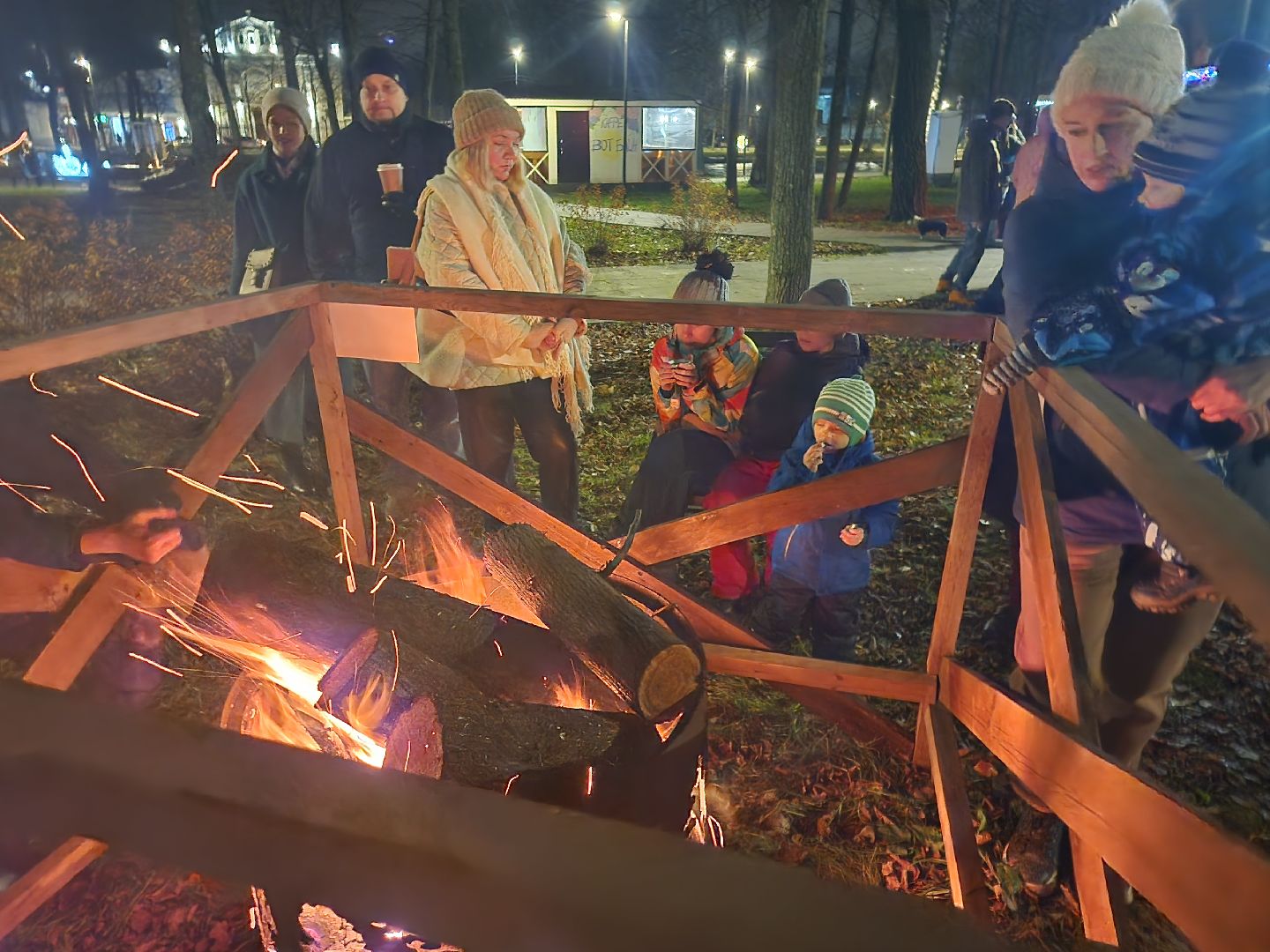 серпухов, подмосковье, теплый очаг, парки подмосковья, парк имени олега степанова, зима в подмосковье, вертикалки,
