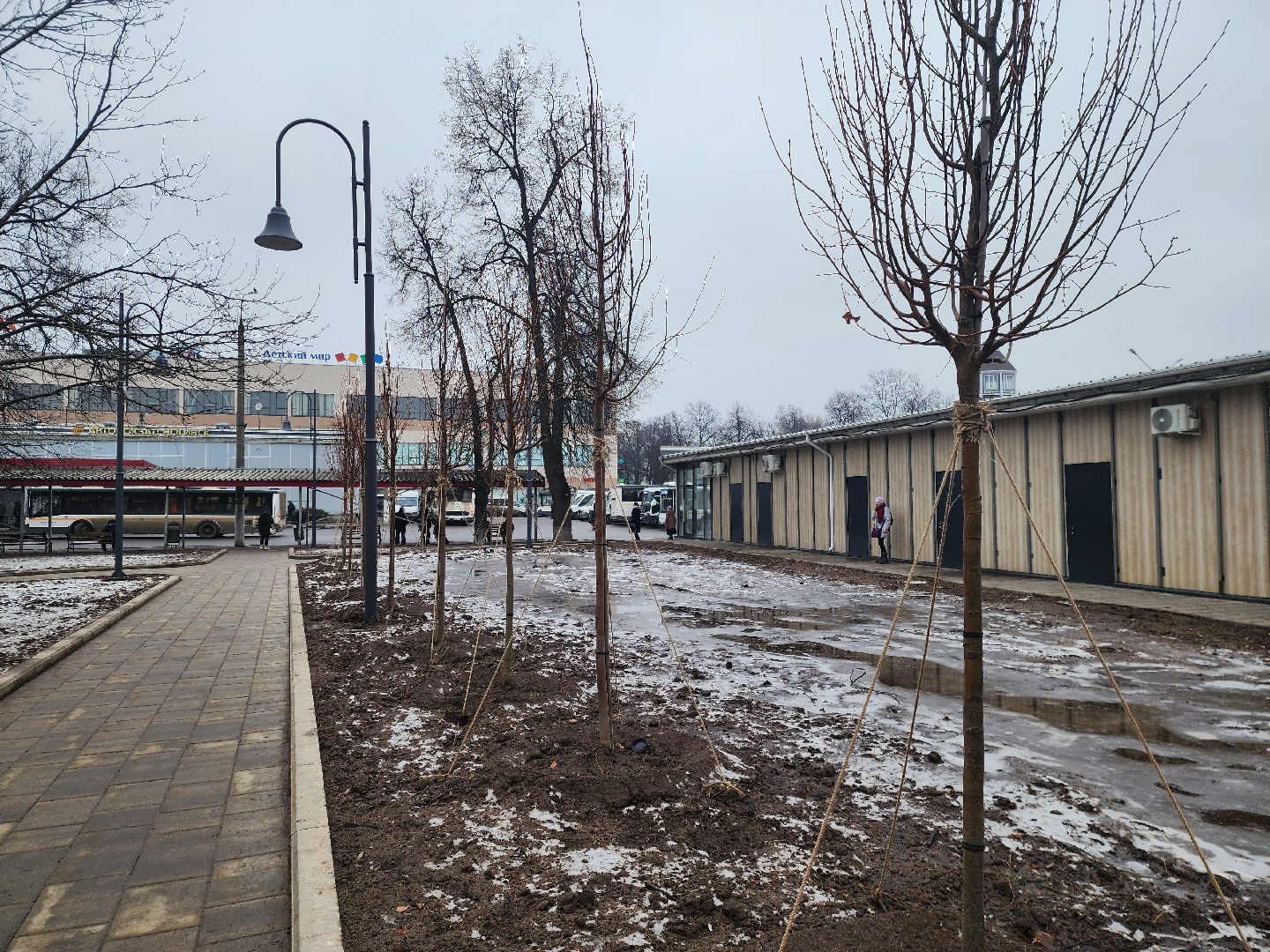 ногинск, жители, общество, благоустройство, реконструкция, сквер, глава округа, вертикалки,