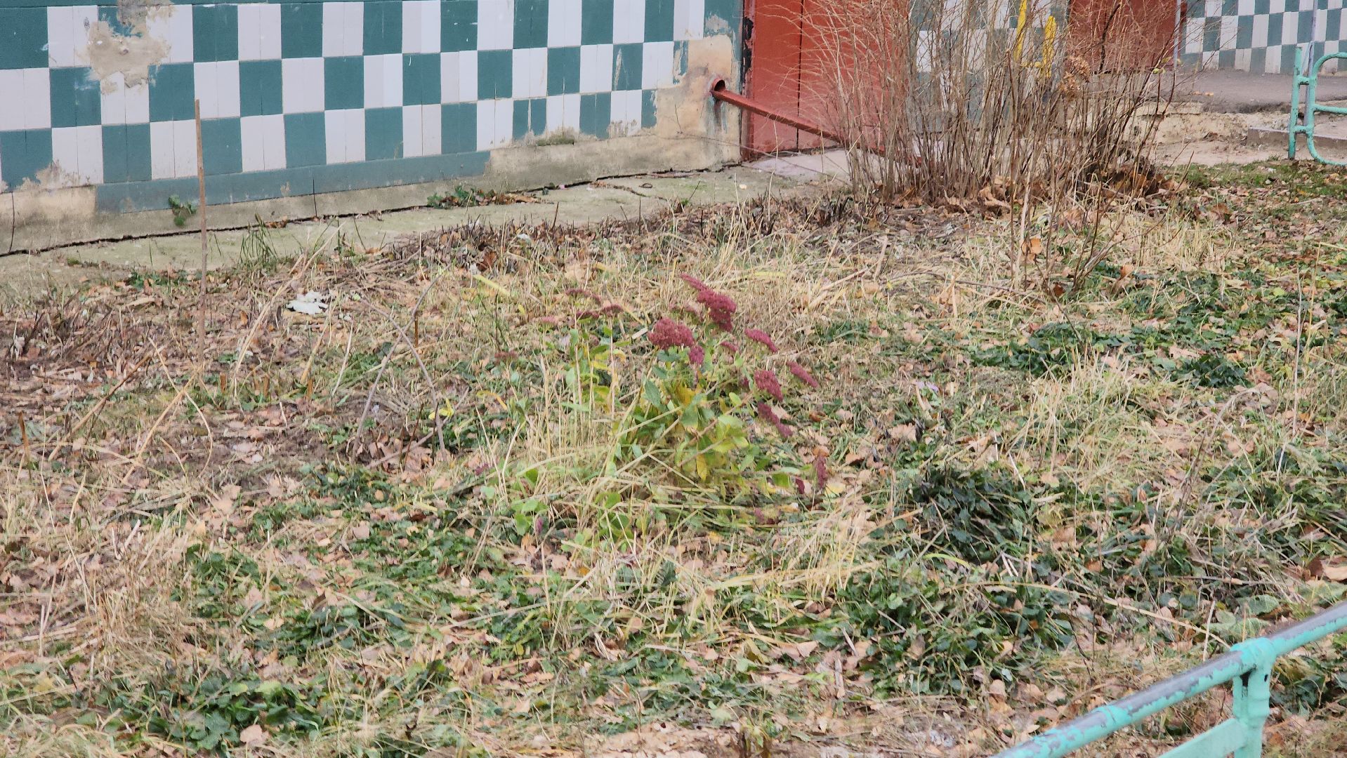 кашира, выездная администрация, контейнерная площадка, вывоз мусора,