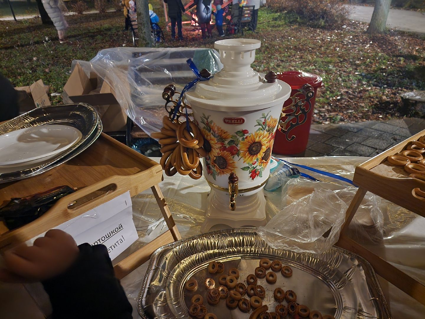 серпухов, подмосковье, парки серпухова, самоварная станция, парки подмосковья,