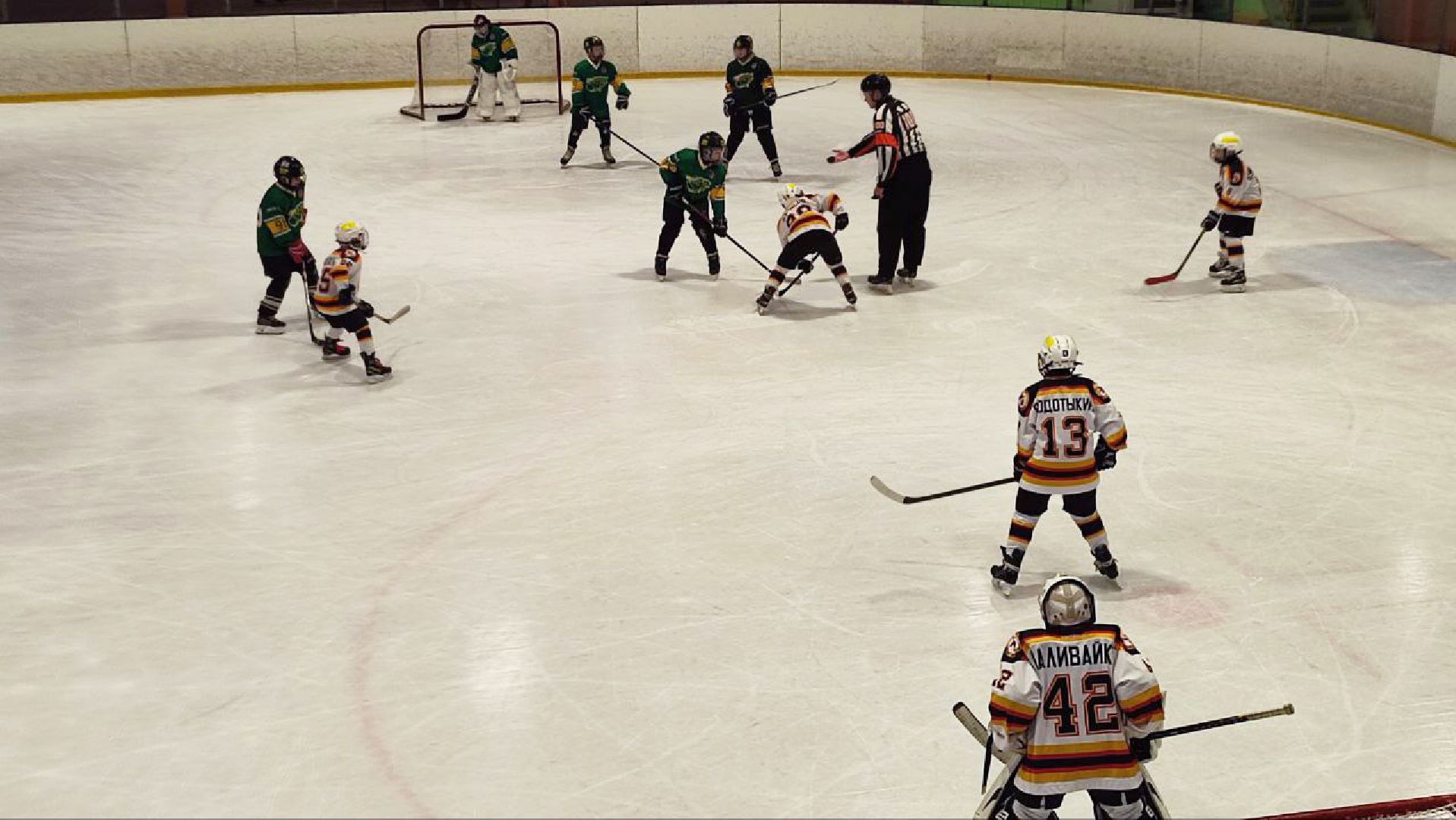 вертикаль, вертикали, вертикалка, вертикальное видео, электросталь, электросталь спортивная, день хоккея, хоккей, сшор кристалл-восток, спорт в подмосковье, спорт подмосковья,