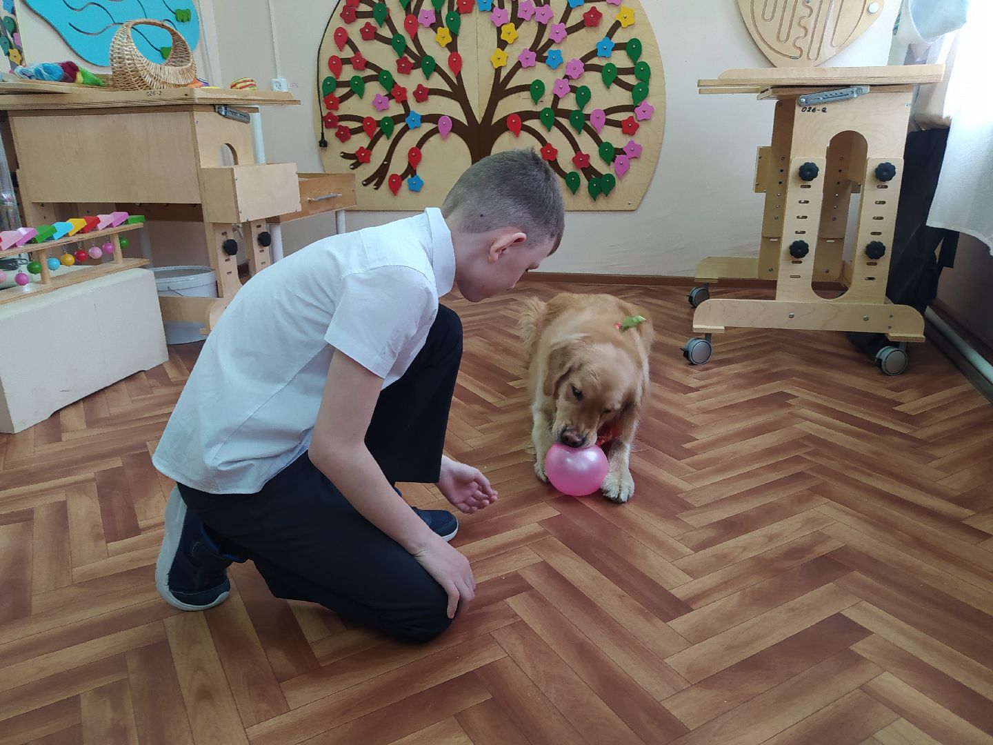 Канистерапия, собака, дети с ОВЗ, занятия, школа