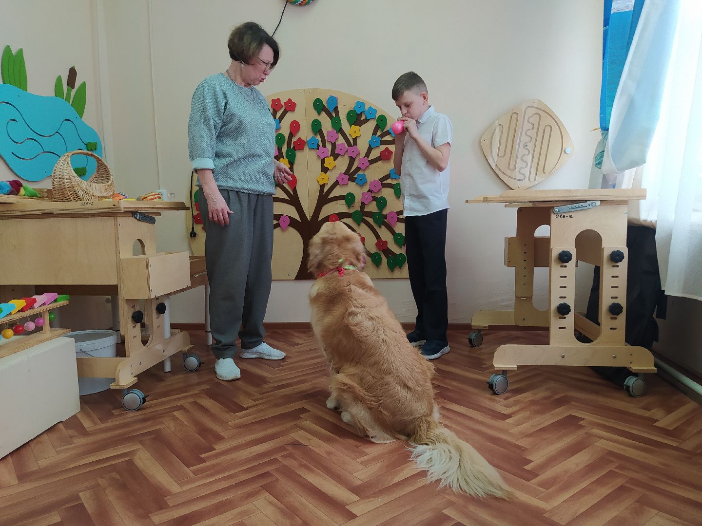Канистерапия, собака, дети с ОВЗ, занятия, школа