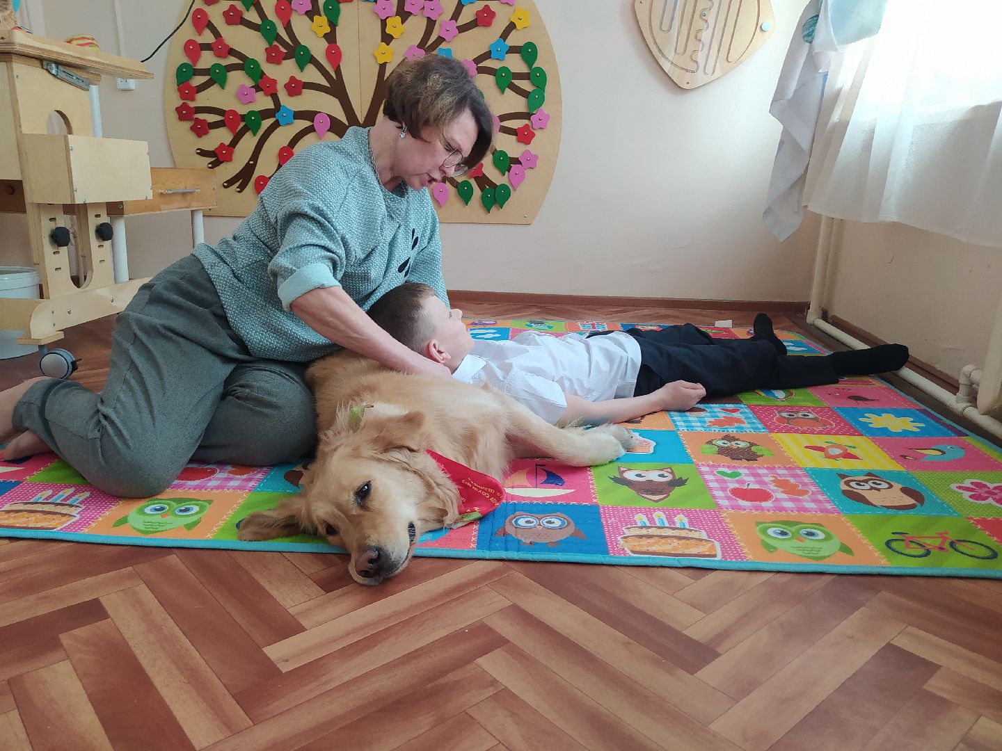 Канистерапия, собака, дети с ОВЗ, занятия, школа