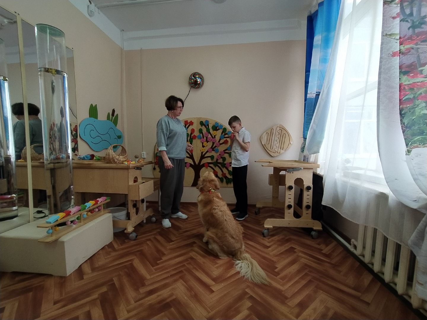 Канистерапия, собака, дети с ОВЗ, занятия, школа