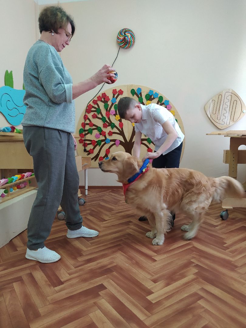 Канистерапия, собака, дети с ОВЗ, занятия, школа