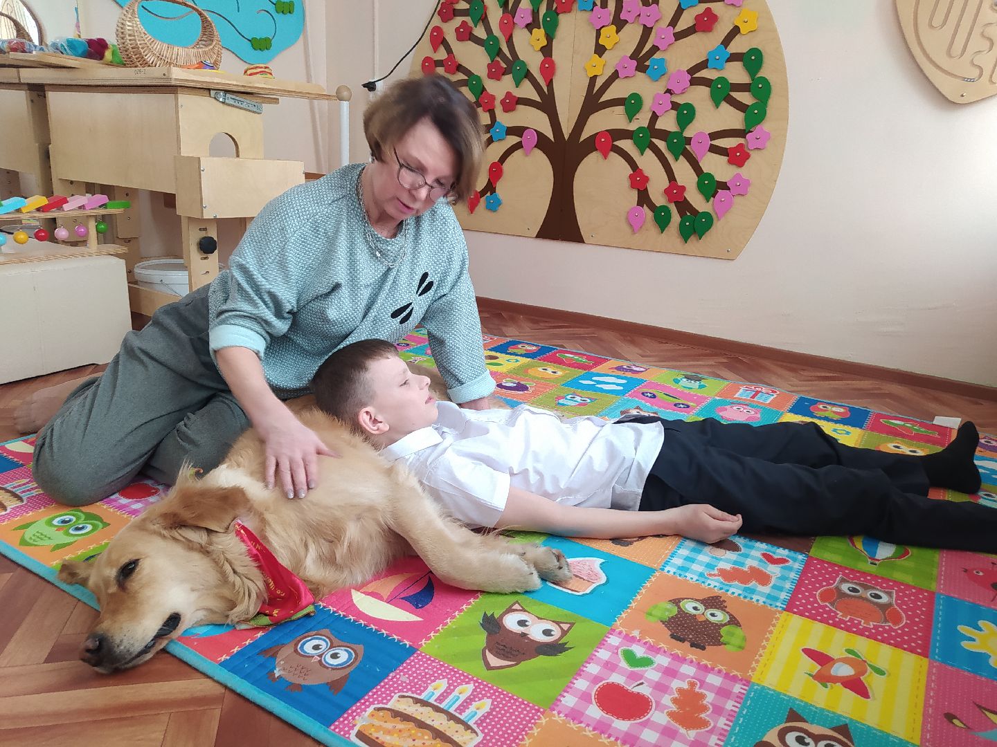 Канистерапия, собака, дети с ОВЗ, занятия, школа