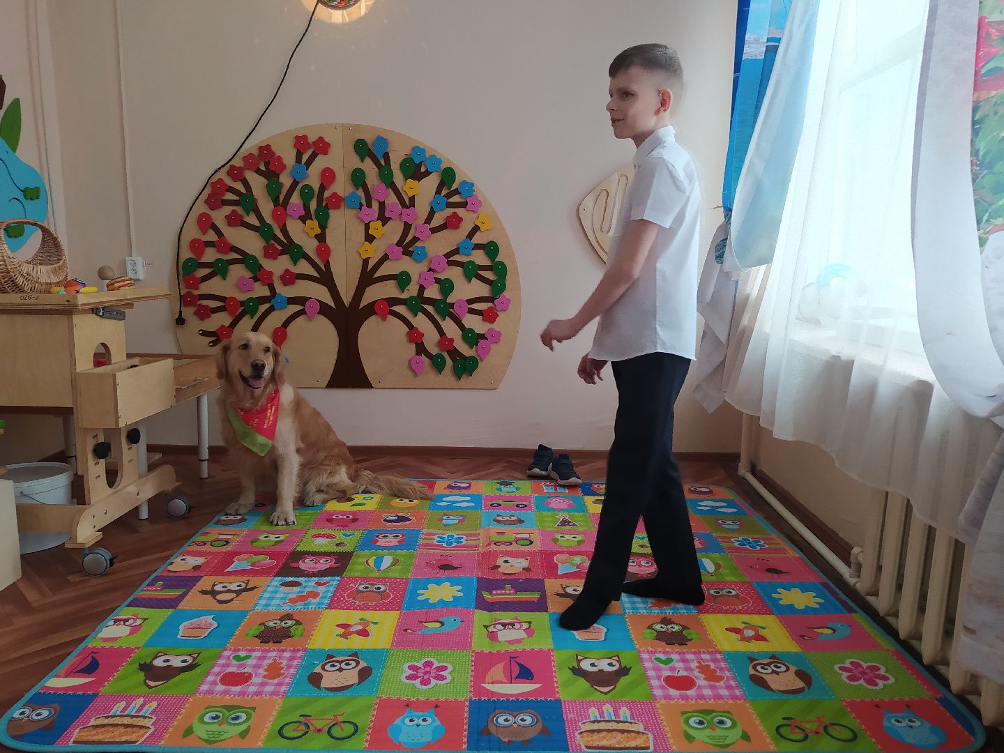 Канистерапия, собака, дети с ОВЗ, занятия, школа