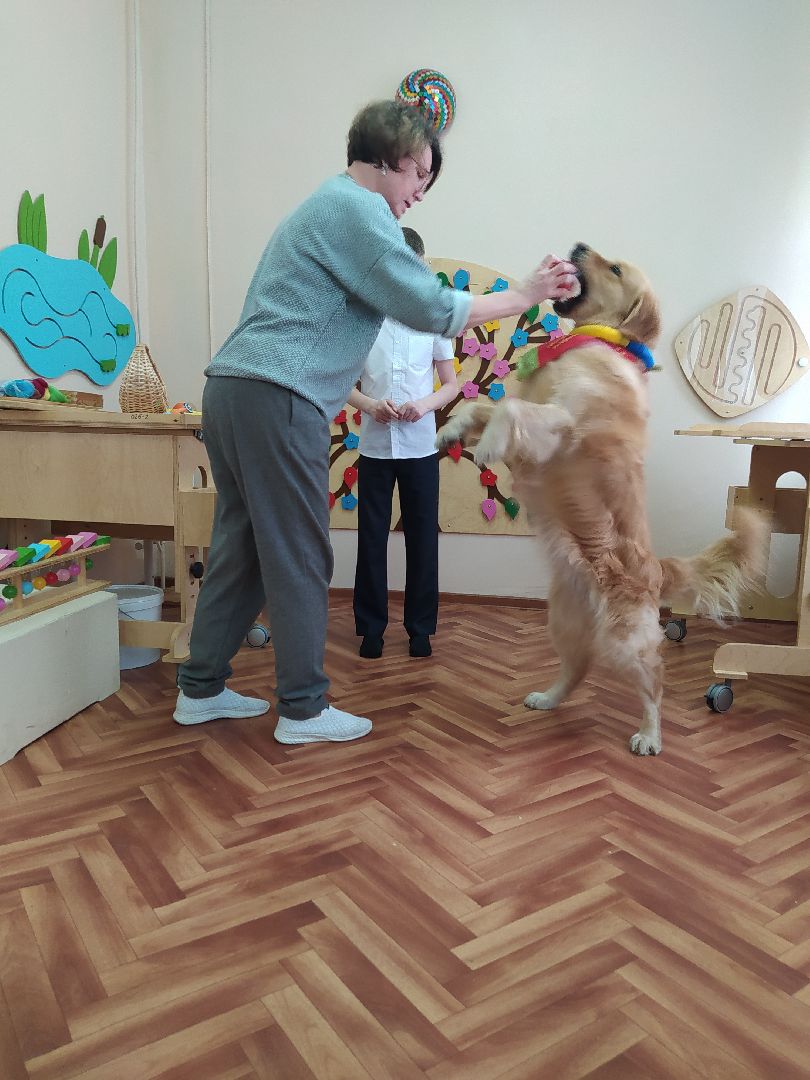 Канистерапия, собака, дети с ОВЗ, занятия, школа