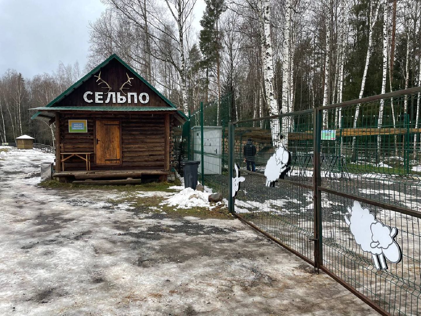 талдом, арт-усадьба веретьево, туризм, вертикалки,