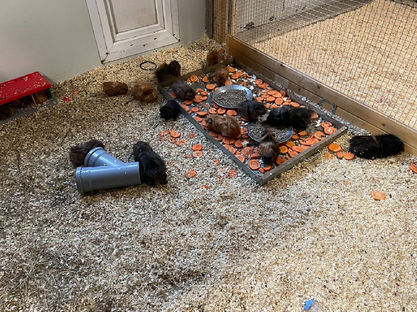 талдом, арт-усадьба веретьево, туризм, вертикалки,