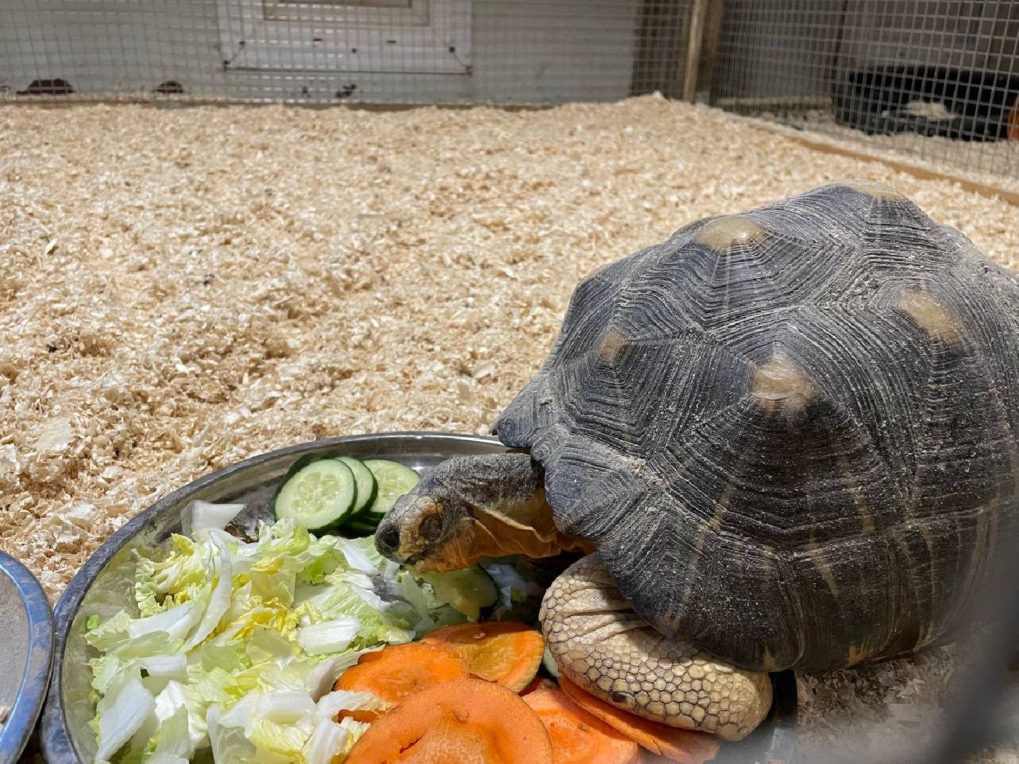 талдом, арт-усадьба веретьево, туризм, вертикалки,