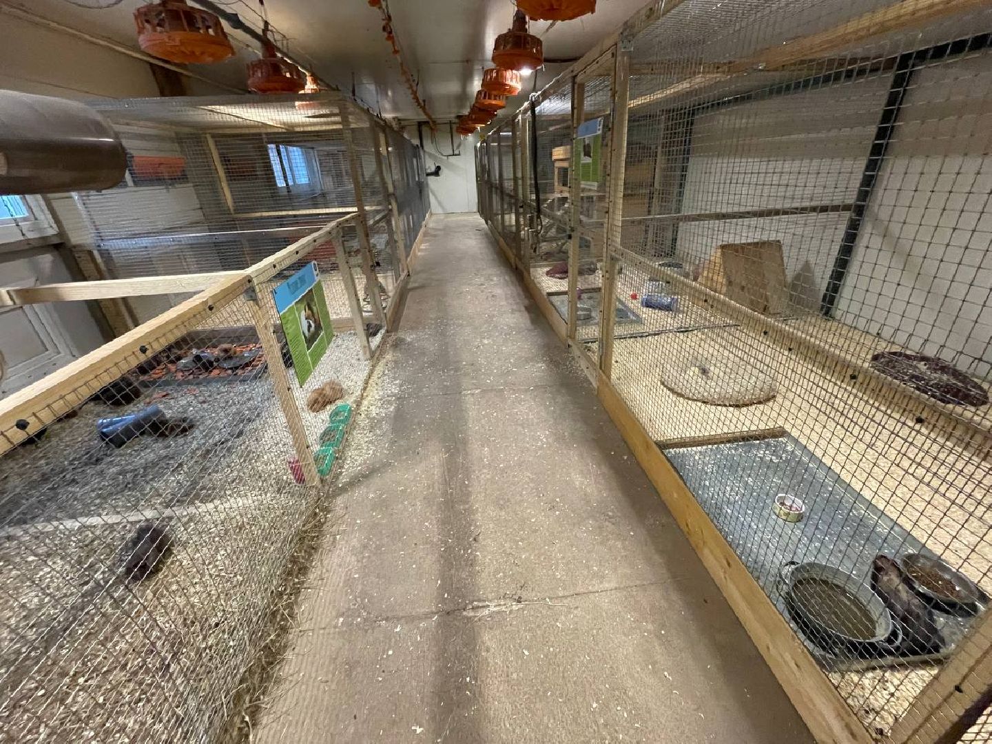 талдом, арт-усадьба веретьево, туризм, вертикалки,