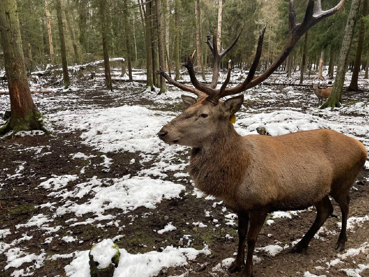 талдом, арт-усадьба веретьево, туризм, вертикалки,