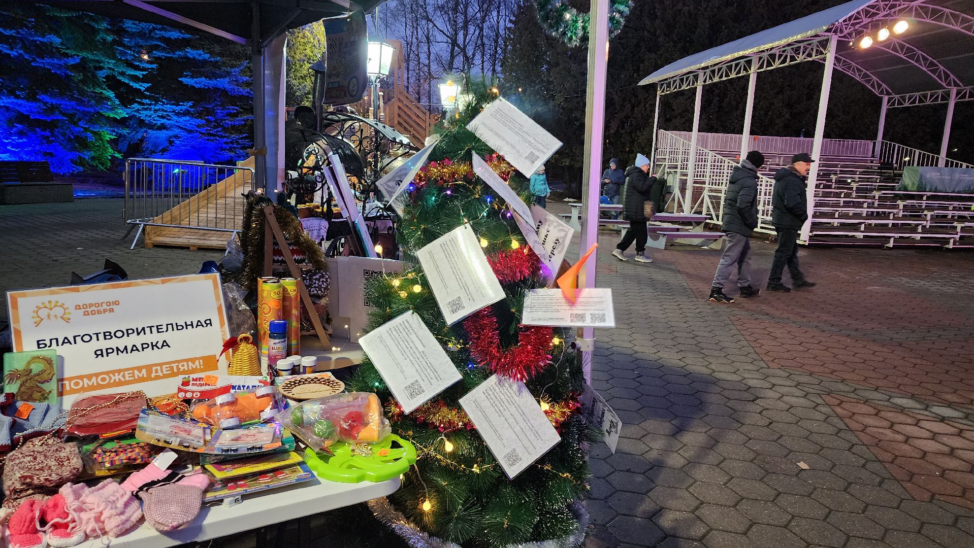 зима в парках, зима в подмосковье, Домодедово, добрые дела, Дорогою добра, Подмосковье, особенные дети, дети в овз, вертикалки,