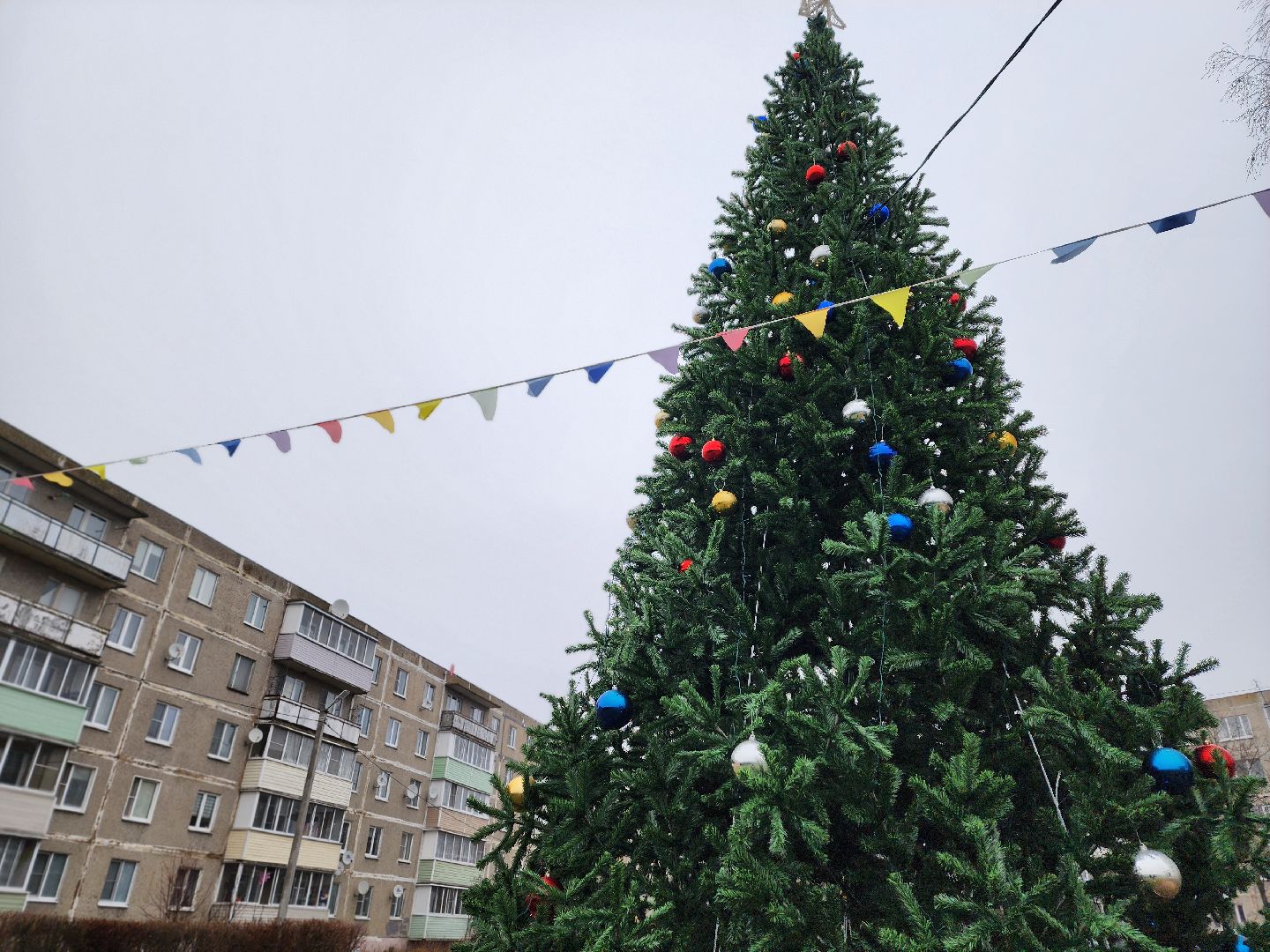 воскресенск, новый год, ёлка, зима в подмосковье, вертикалки,