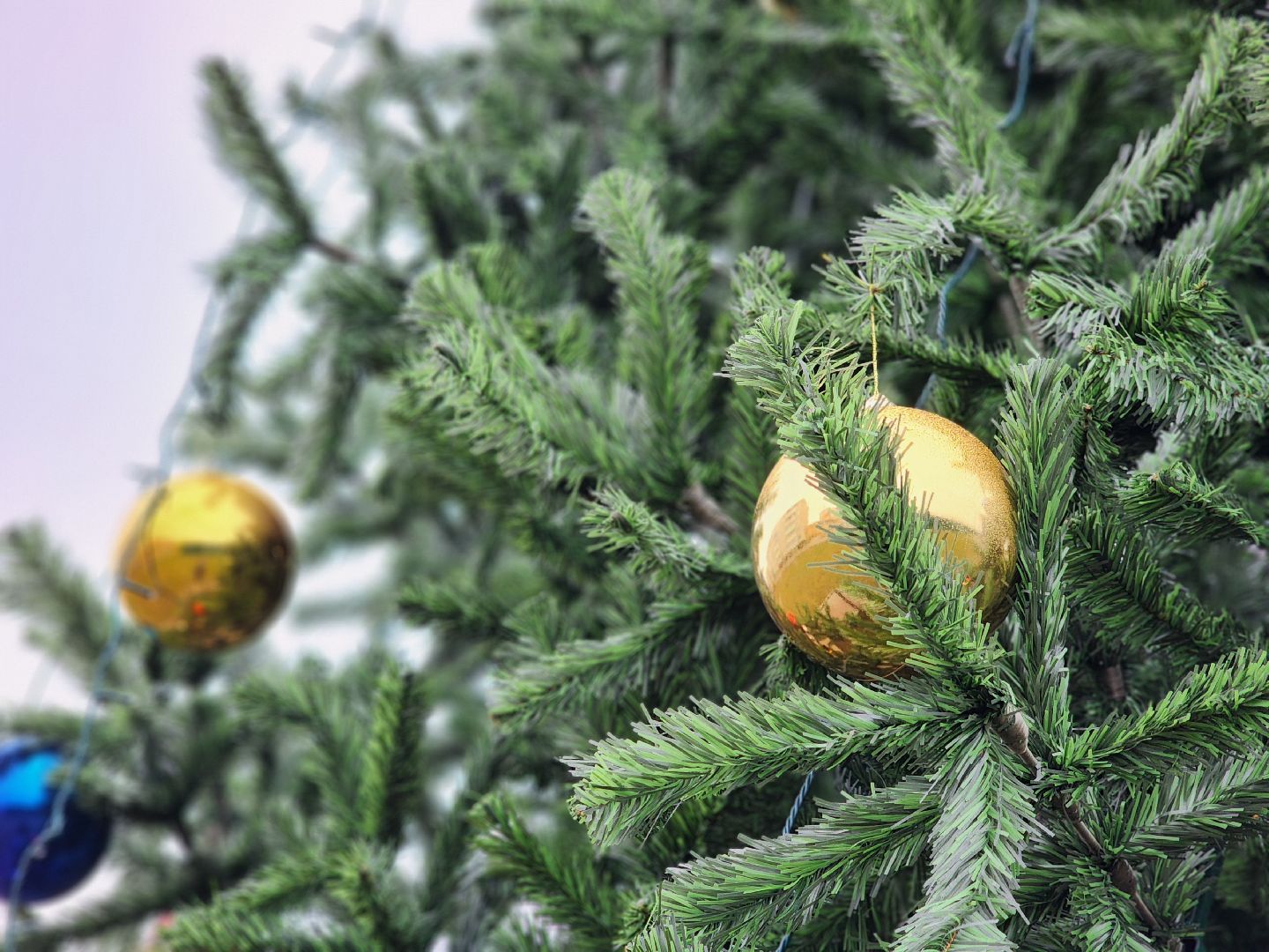 воскресенск, новый год, ёлка, зима в подмосковье, вертикалки,