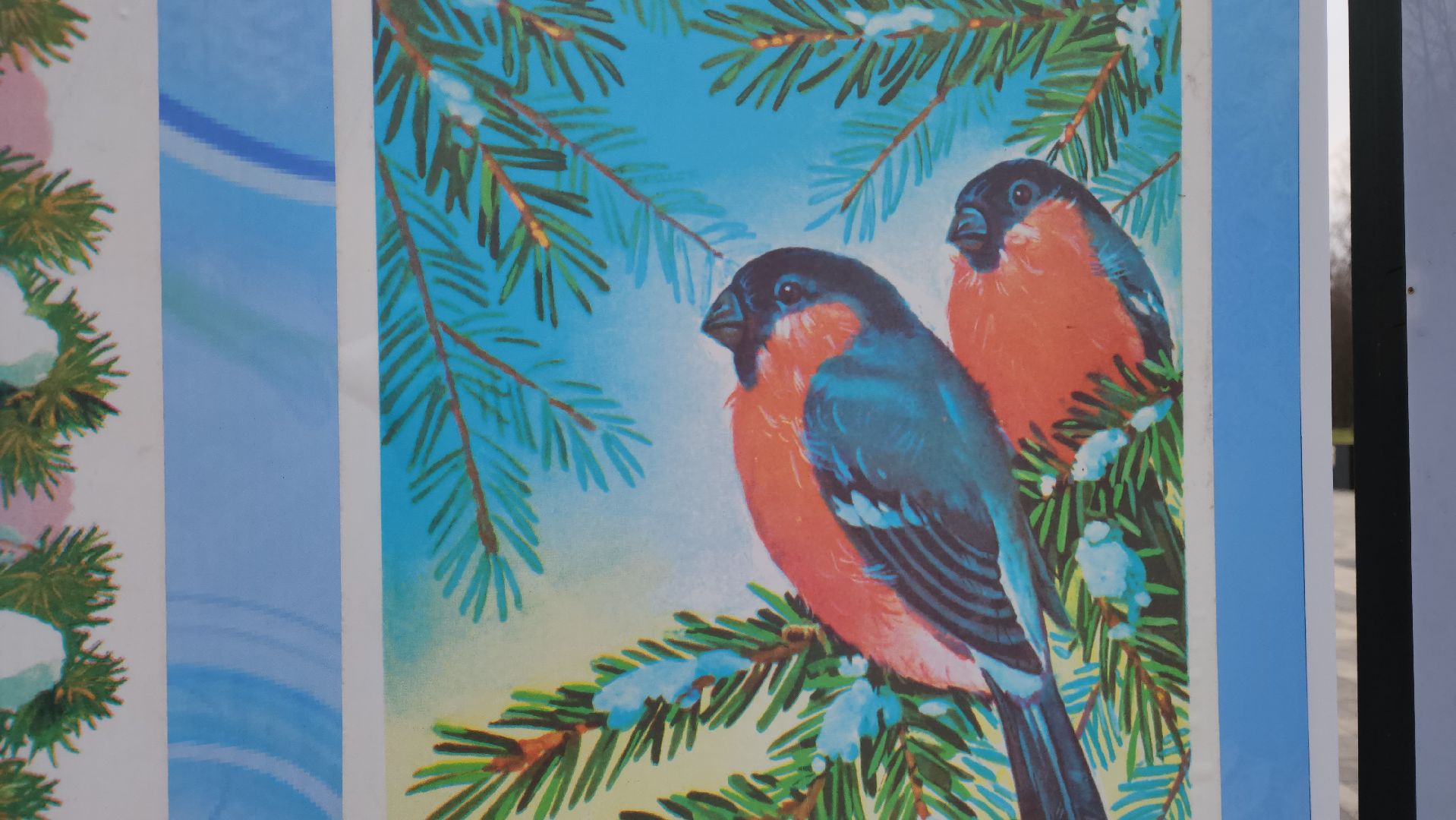 ступино, зима в подмосковье, парки ступино, ступинский музей,