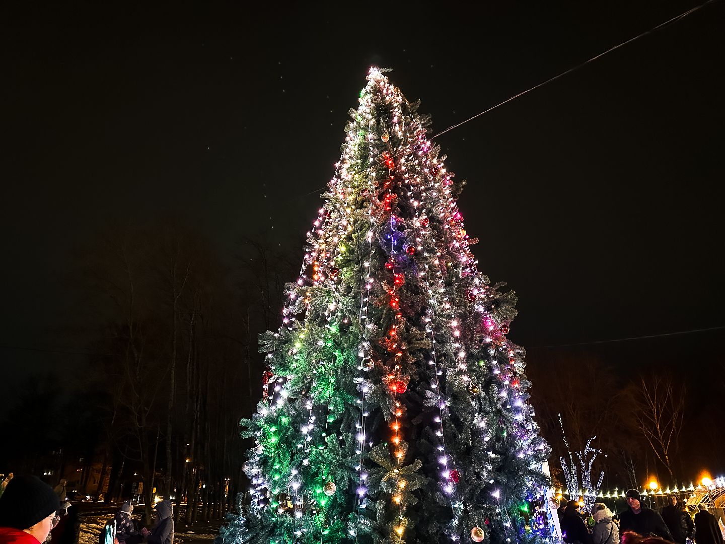 Клин, общество, зима в подмосковье, вертикалки,