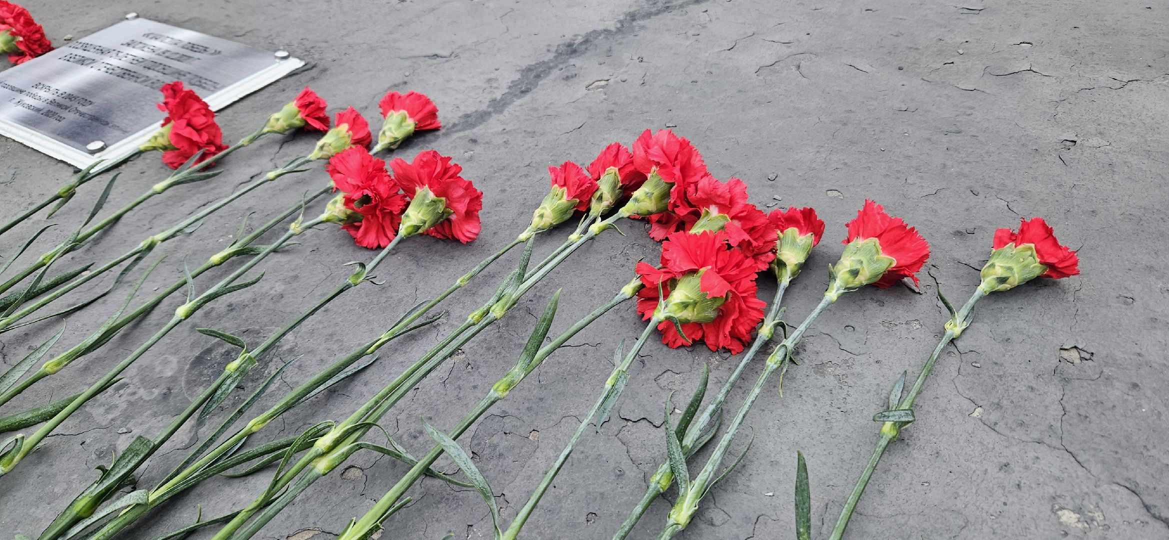 Волонтры Подмосковья, Жуковский, день неизвестного солдата,