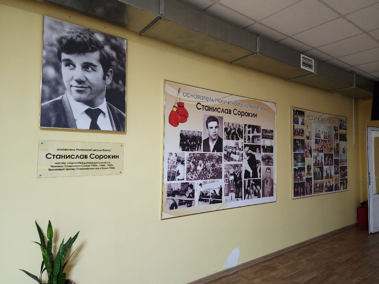 ногинск, спорт, бокс, школа бокса, чемпионат России по боку, игры брикс, соревнования, чемпион мира по боксу,