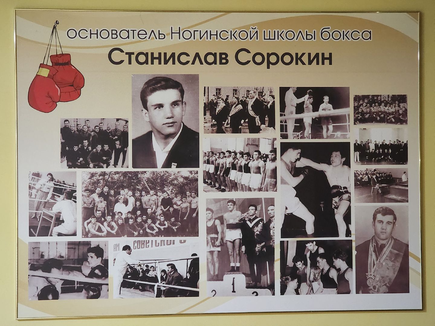 ногинск, спорт, бокс, школа бокса, чемпионат России по боку, игры брикс, соревнования, чемпион мира по боксу,