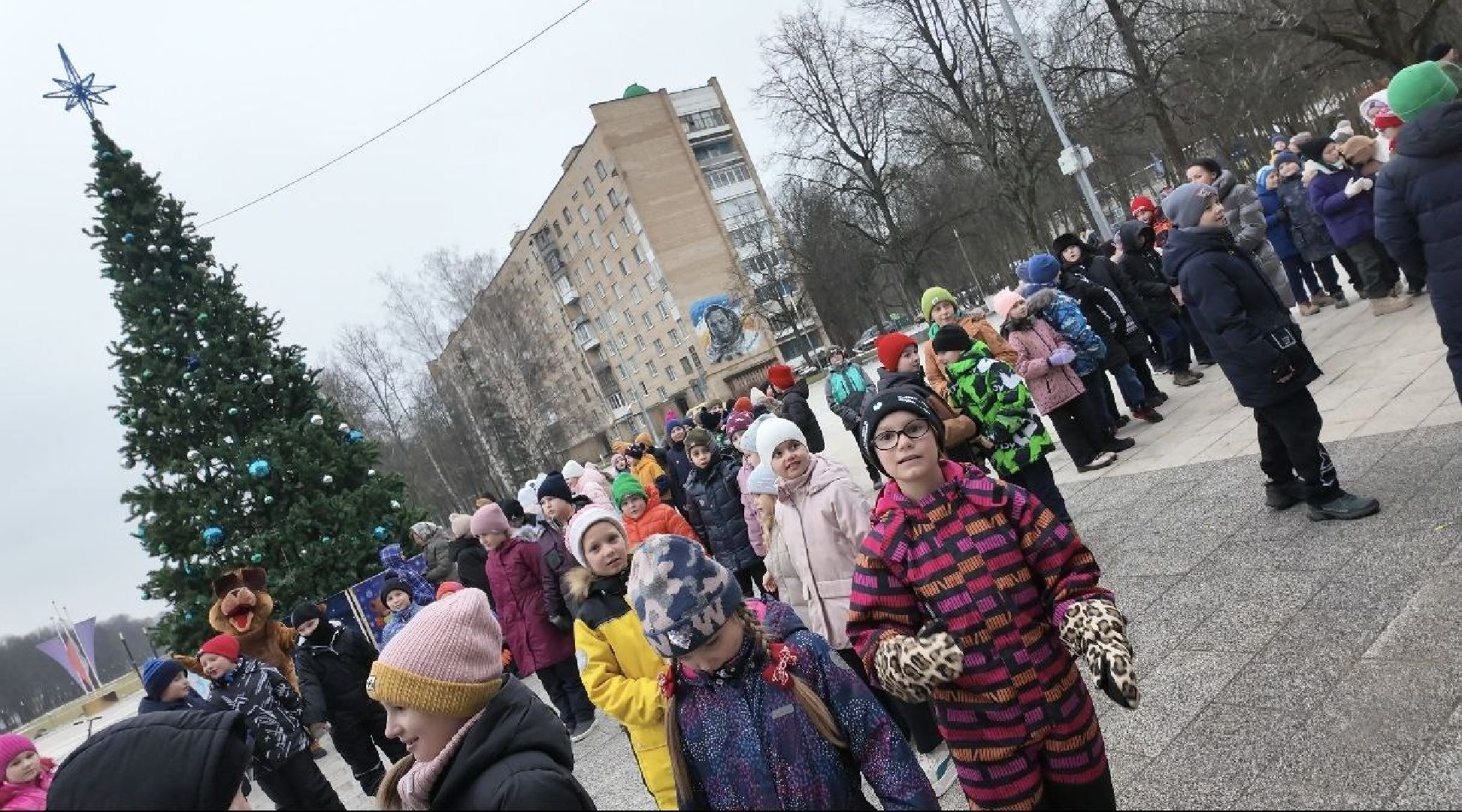 елка, площадь, зимний сезон, сказочные герои, дед мороз, вертикалки,