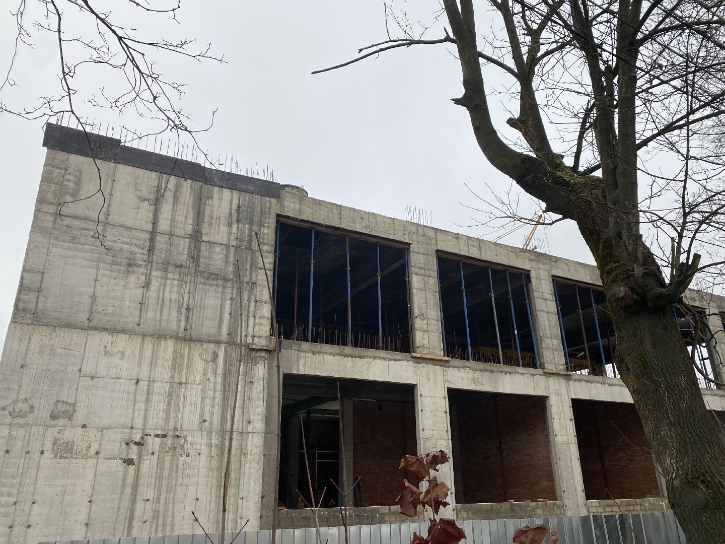 Подмосковье, Строительство, ФОК, микрорайон Авиационный, спорт, Домодедово, Бассейн, вертикалки,