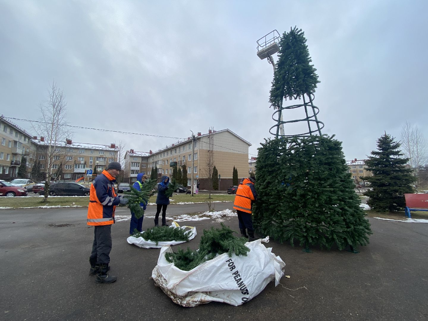 Елка, Истра, Зима, вертикалки,