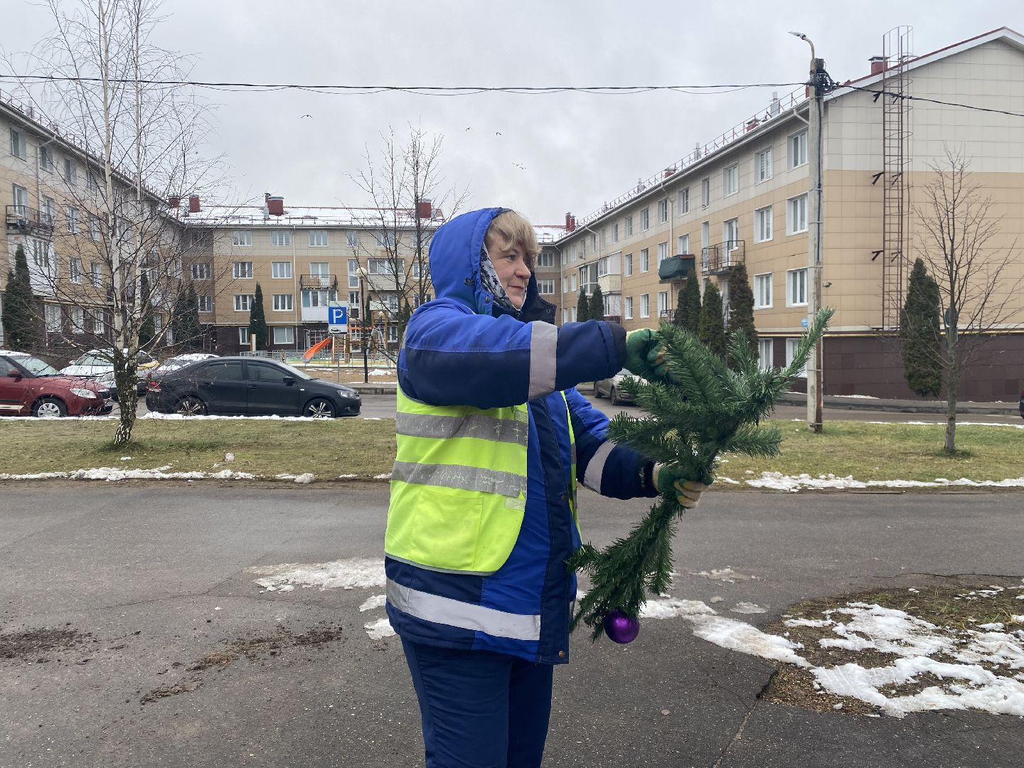 Елка, Истра, Зима, вертикалки,