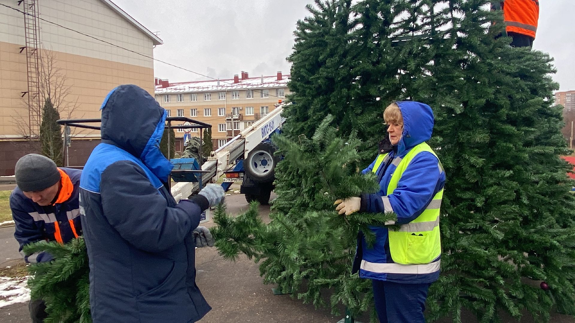 Елка, Истра, Зима, вертикалки,