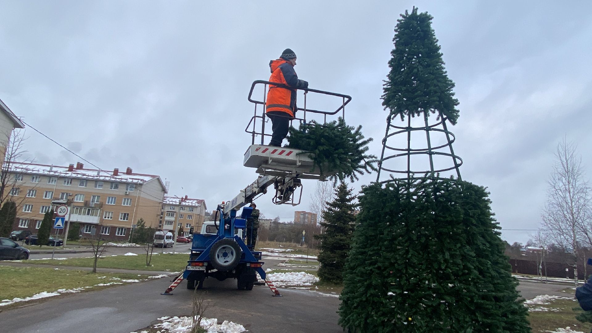 Елка, Истра, Зима, вертикалки,