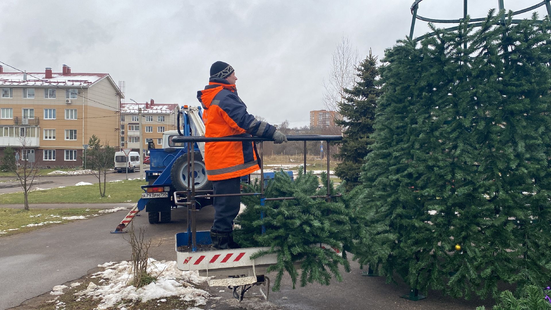 Елка, Истра, Зима, вертикалки,