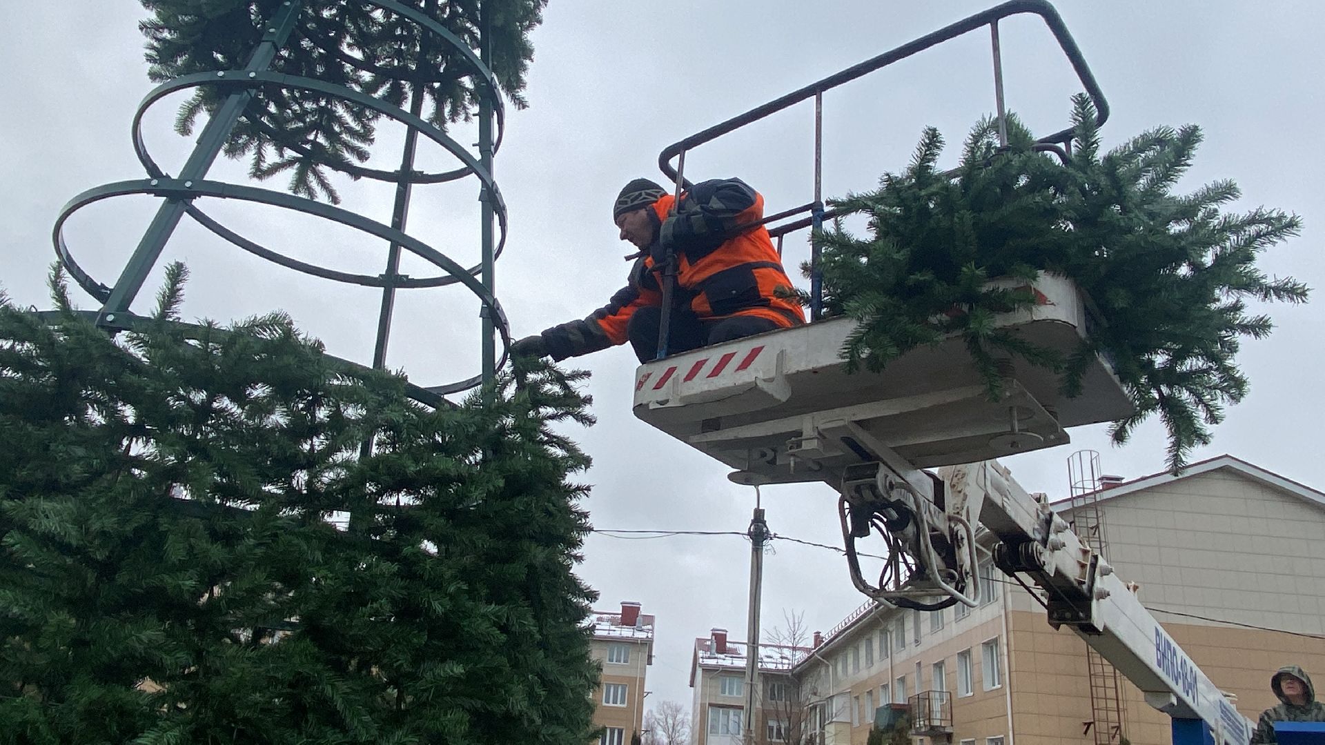 Елка, Истра, Зима, вертикалки,