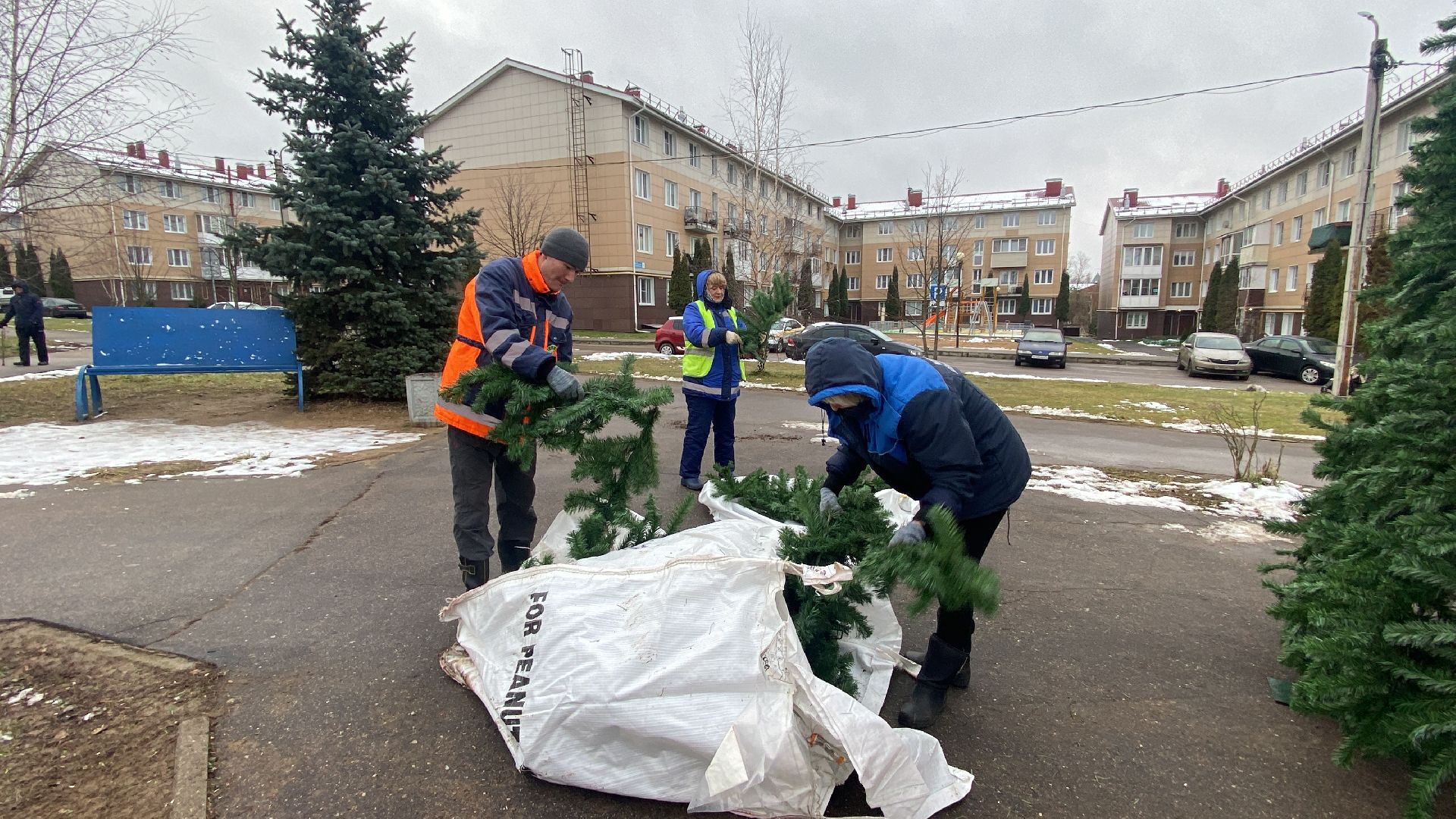 Елка, Истра, Зима, вертикалки,