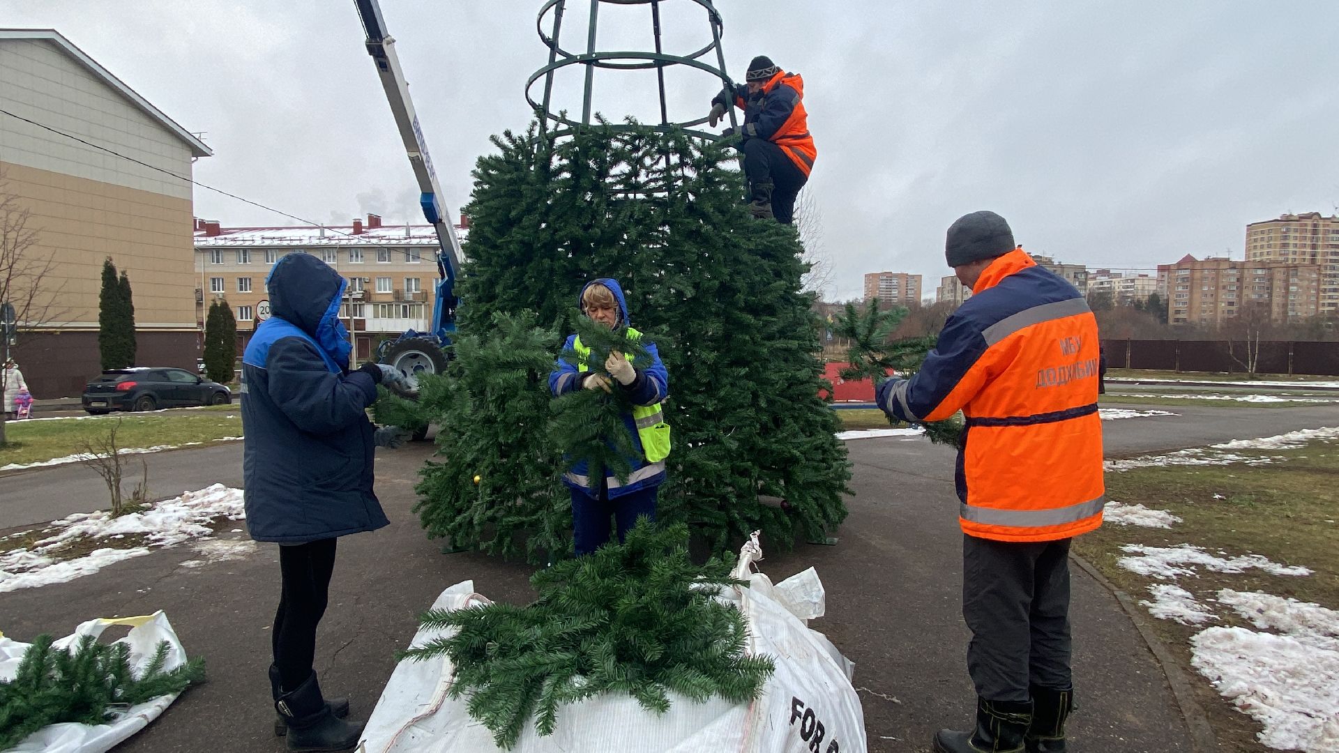 Елка, Истра, Зима, вертикалки,