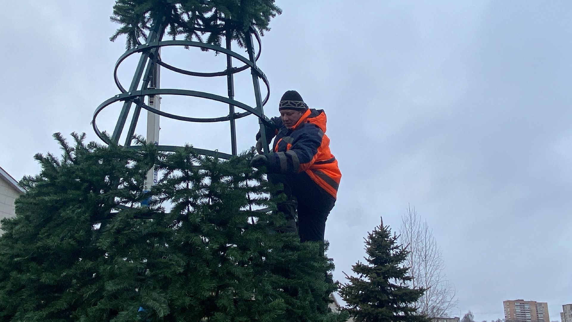 Елка, Истра, Зима, вертикалки,