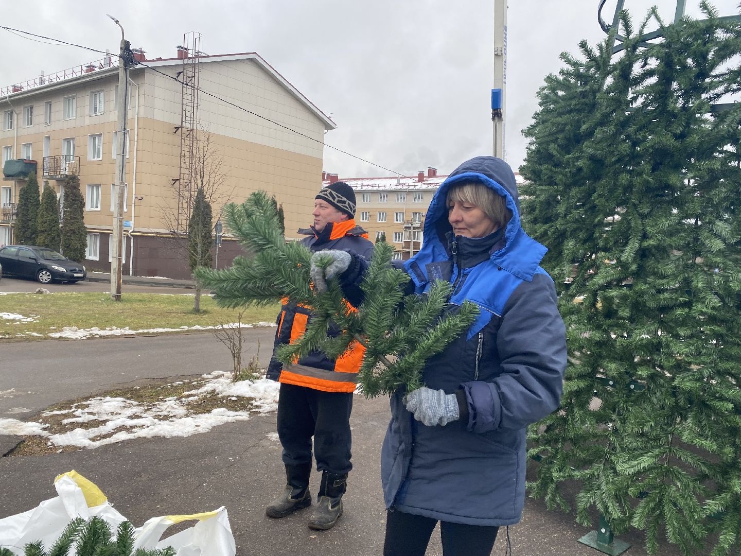 Елка, Истра, Зима, вертикалки,