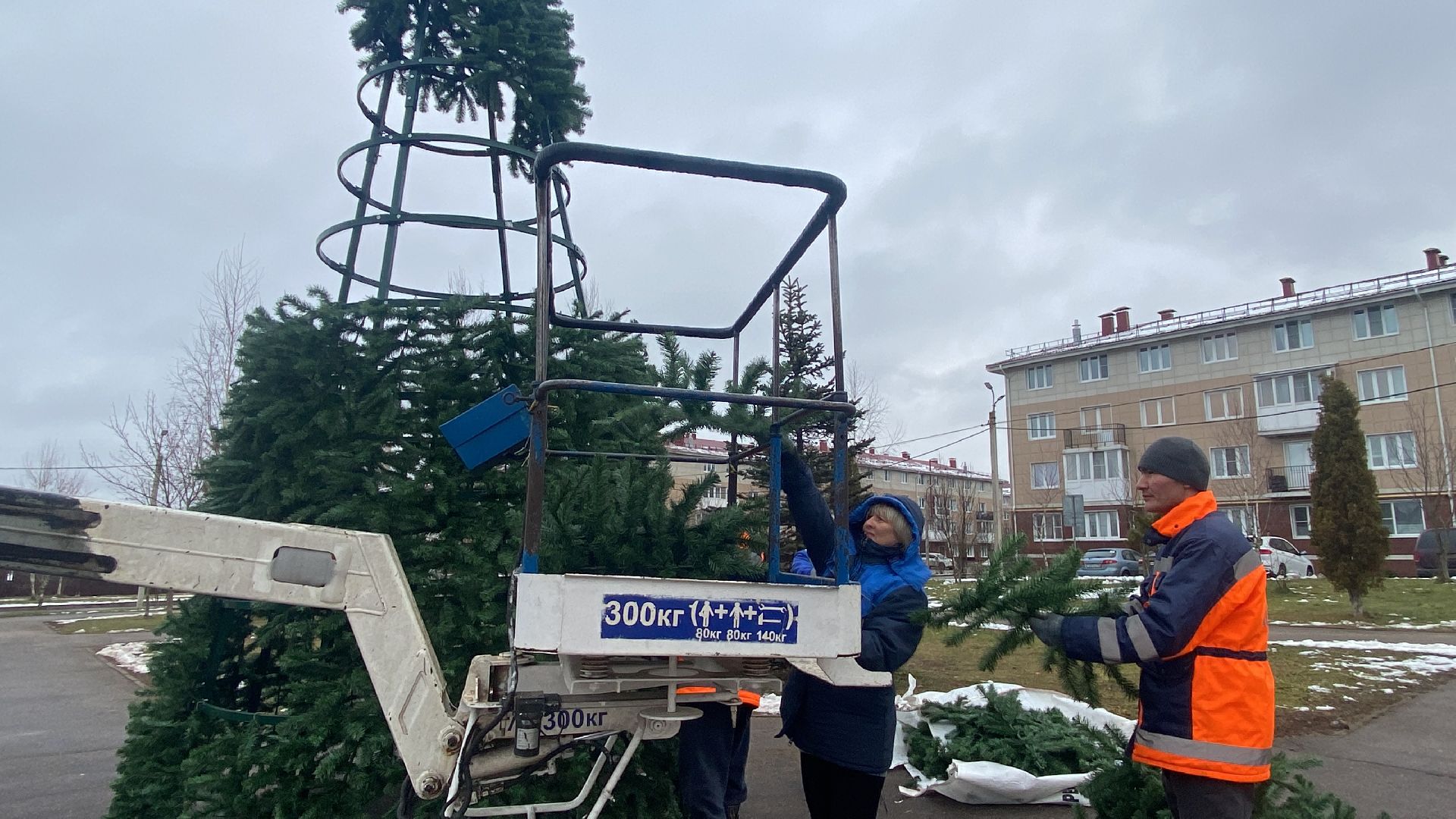 Елка, Истра, Зима, вертикалки,