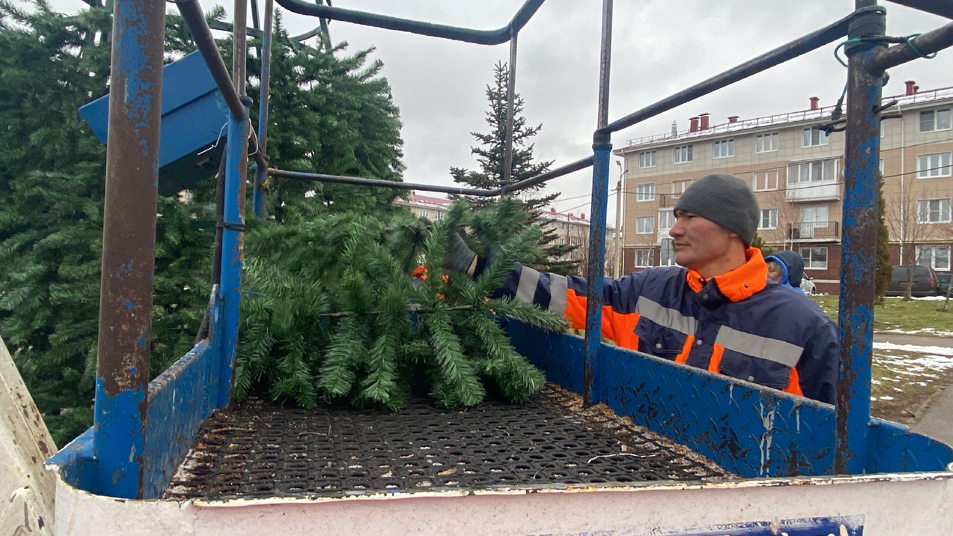 Елка, Истра, Зима, вертикалки,