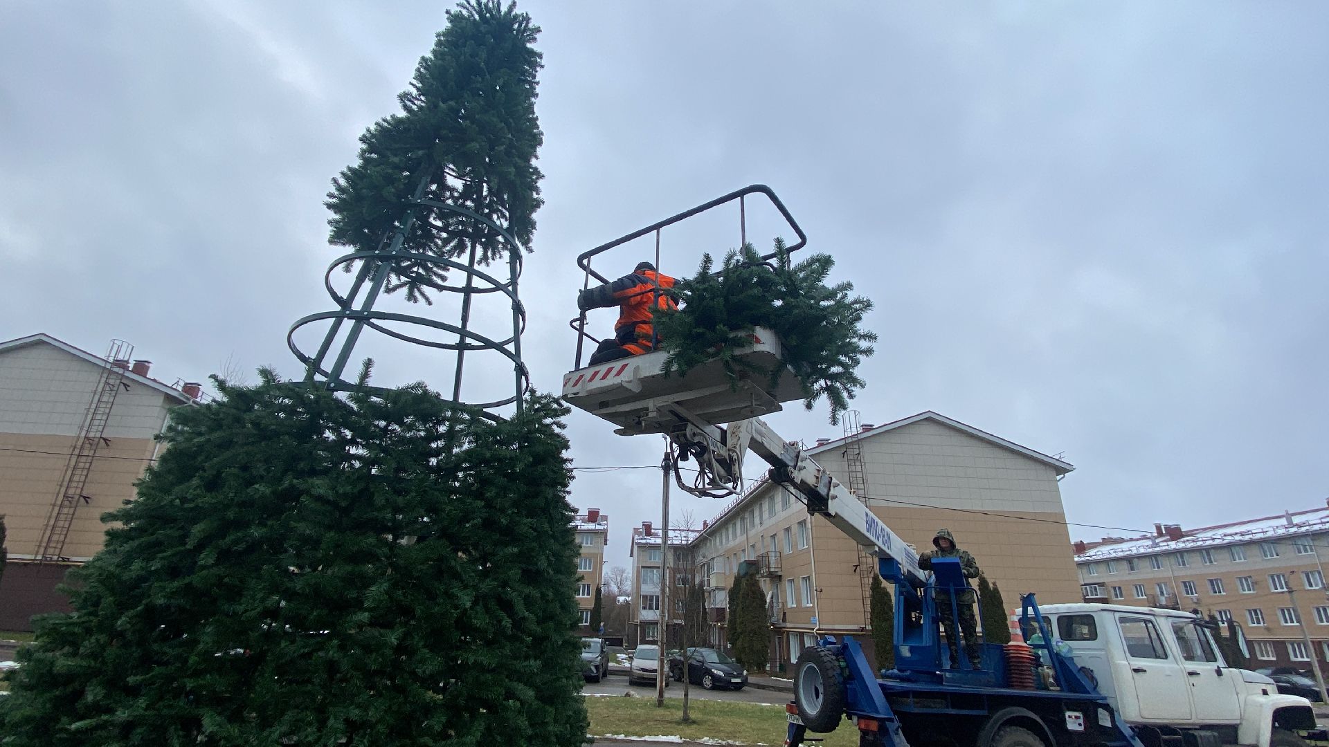 Елка, Истра, Зима, вертикалки,