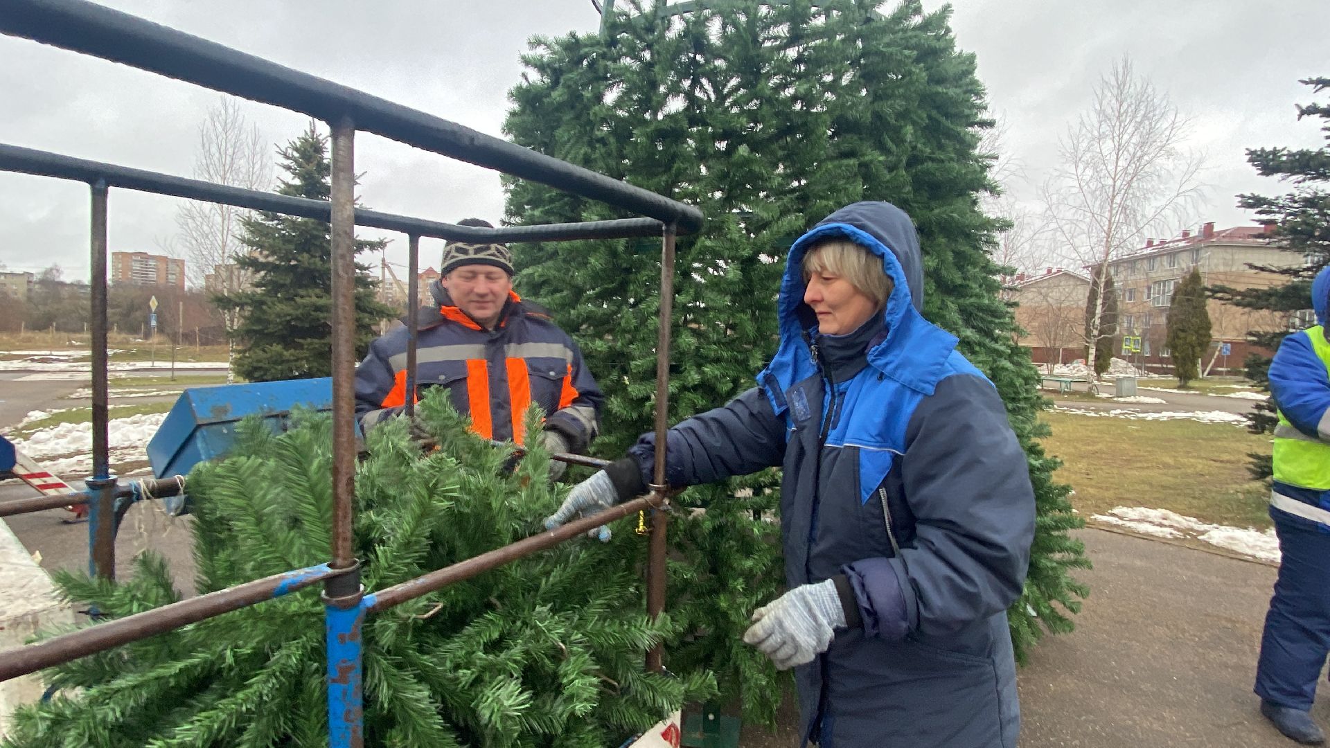 Елка, Истра, Зима, вертикалки,