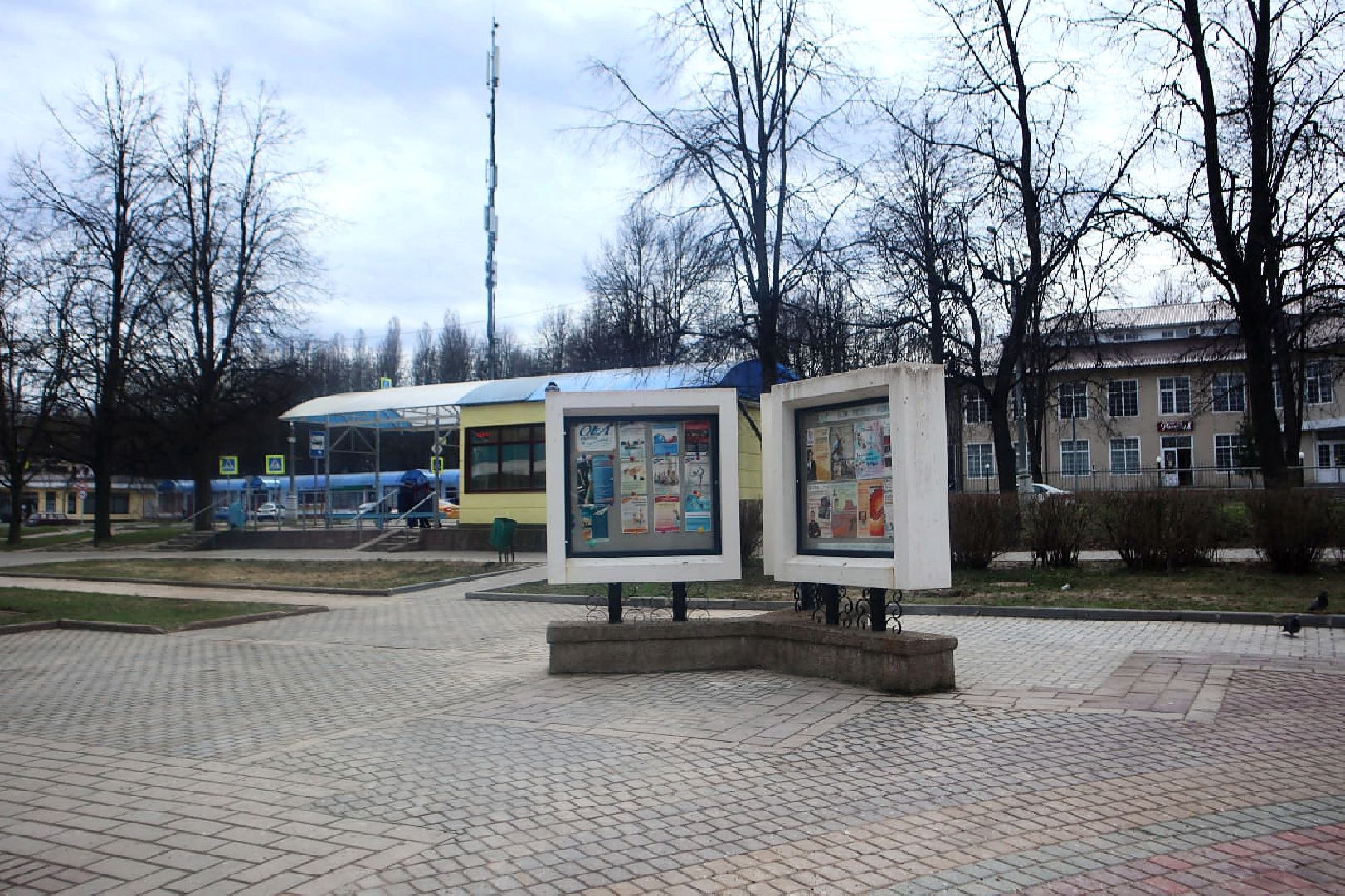 Пущино, голосование, благоустройство