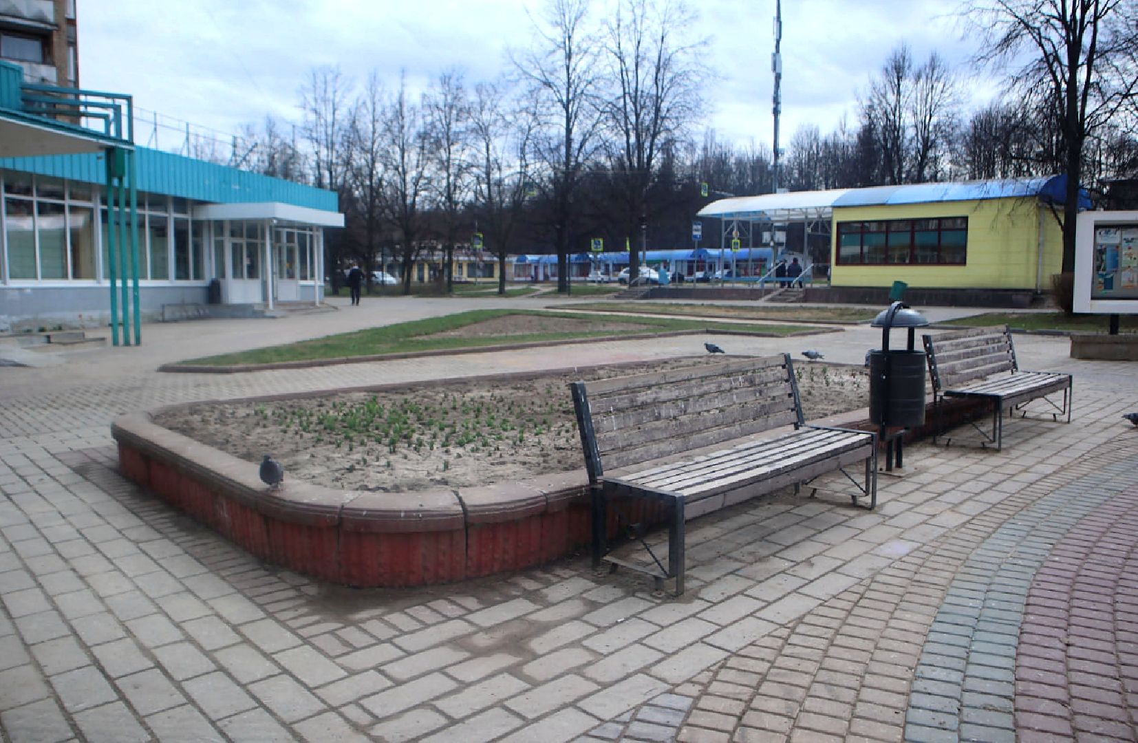 Пущино, голосование, благоустройство