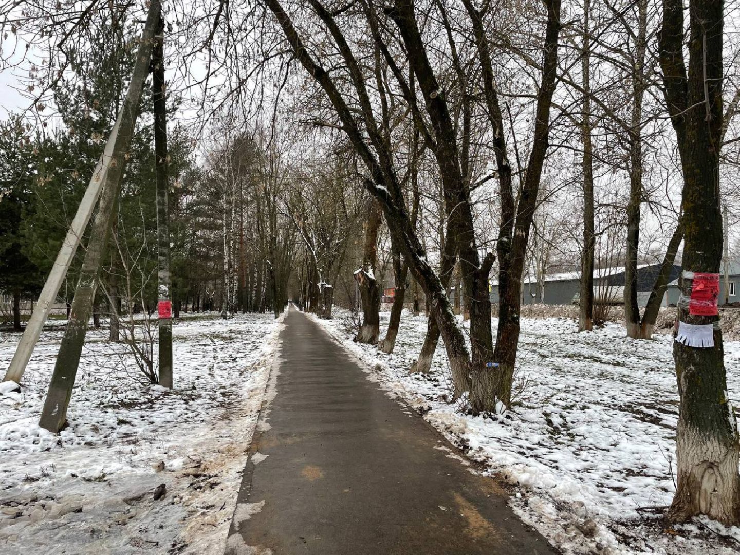 дмитров, куликово, проект пешком, минблаго, вертикалки,