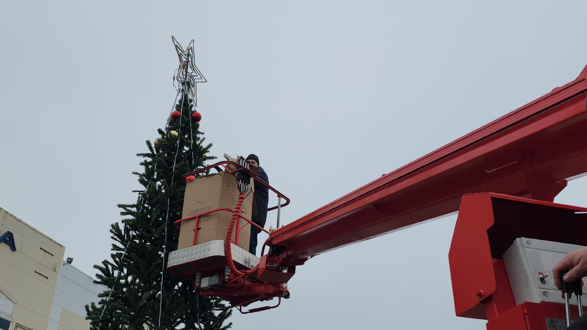 серпухов, зима в подмомсковье, ёлка, поселок большевик, дс надежда, вертикалки,